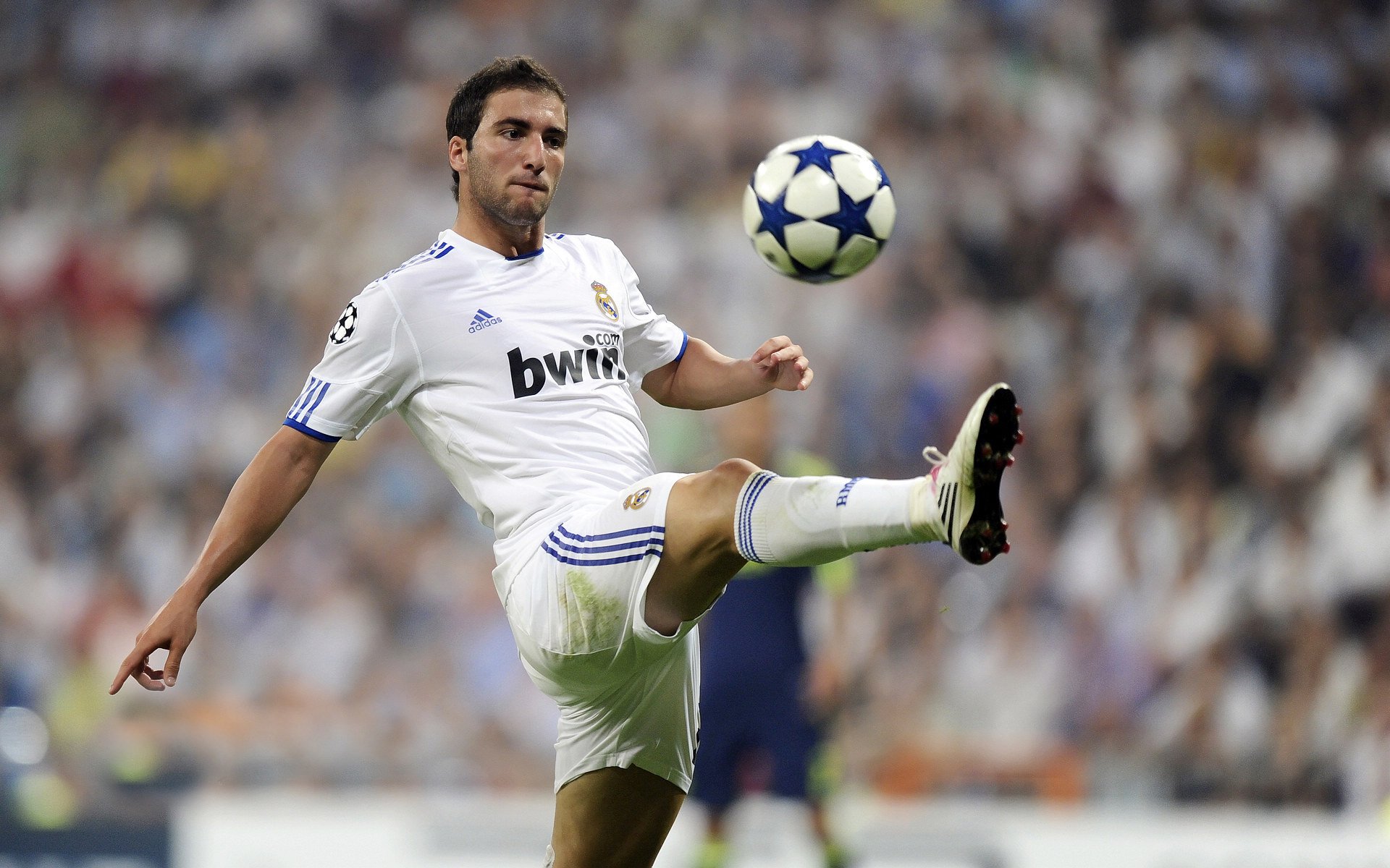 罗斯·范奥特尔戴克触壁瞬间全场惊呼，范尼斯特尔罗伊