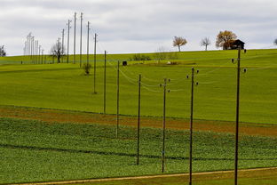 JIU YOU GAME-球员体能负荷评估工具上线助力教练科学制定训练计划，体育负荷强度